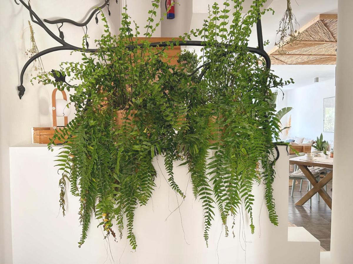 Saone Guesthouse & Coworking Ericeira Zewnętrze zdjęcie